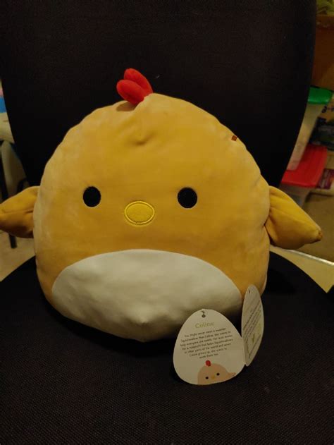 celine squishmallow for sale